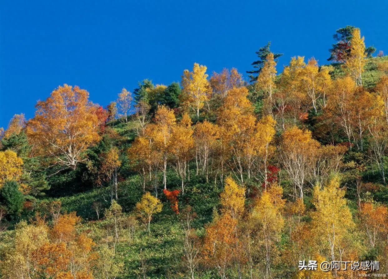 2022的最后一个月：愿你不负流年，不负自己(图1)