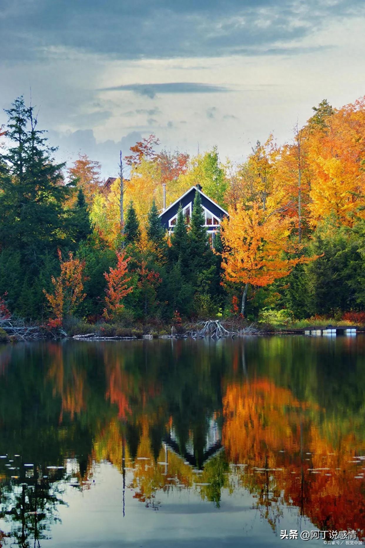 2022的最后一个月：愿你不负流年，不负自己(图4)