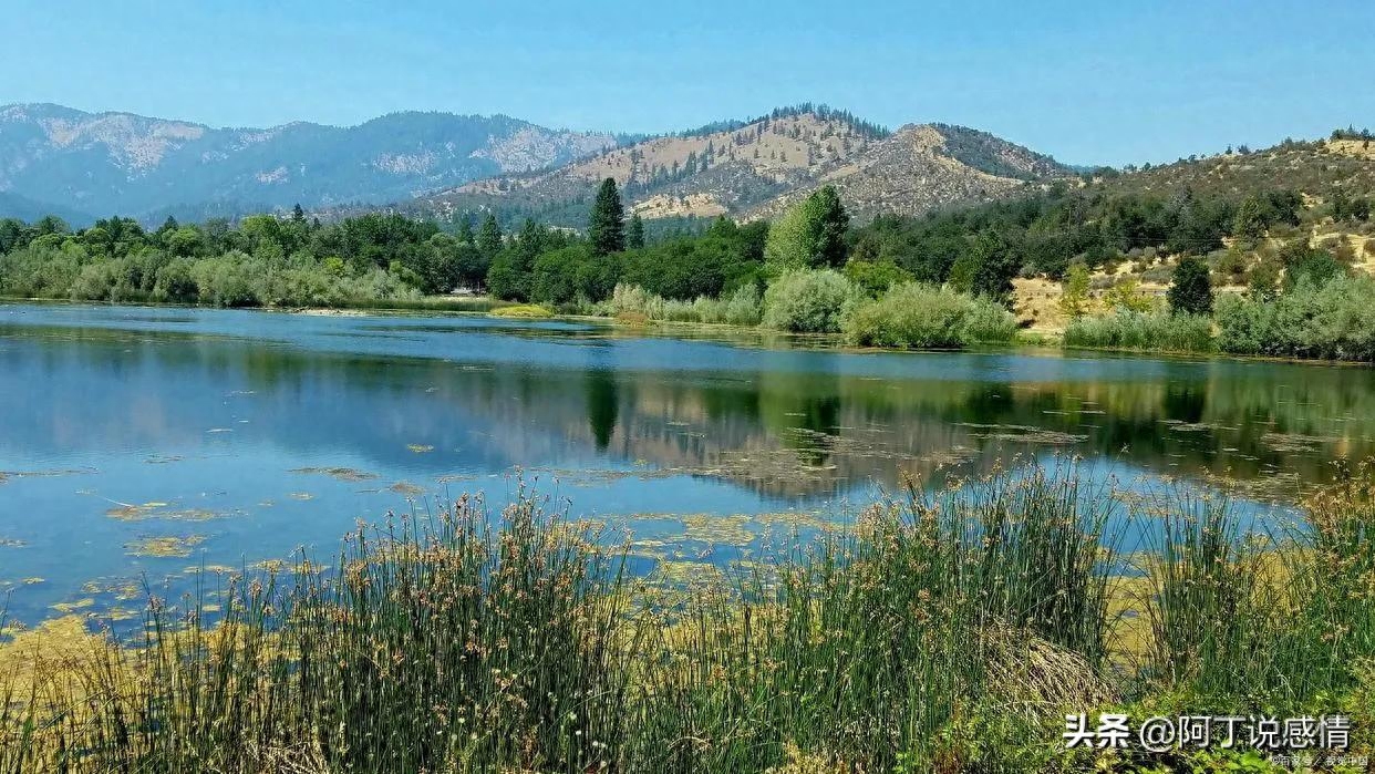 2022的最后一个月：愿你不负流年，不负自己(图5)