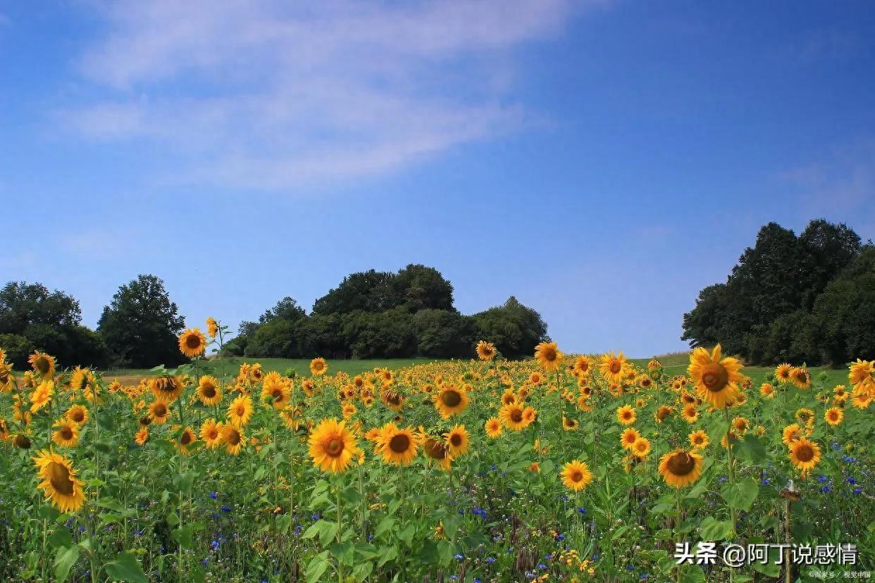 2022的最后一个月：愿你不负流年，不负自己(图6)