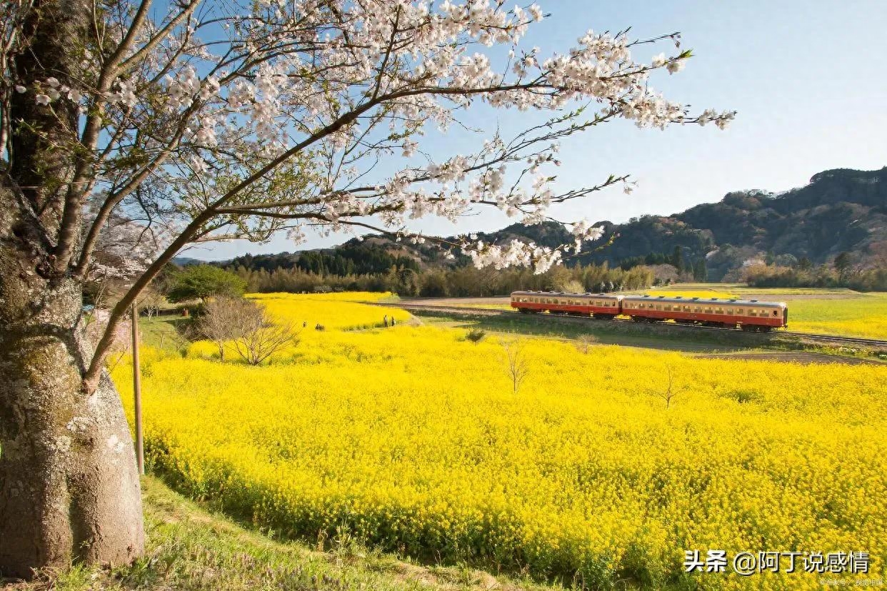 2022的最后一个月：愿你不负流年，不负自己(图7)