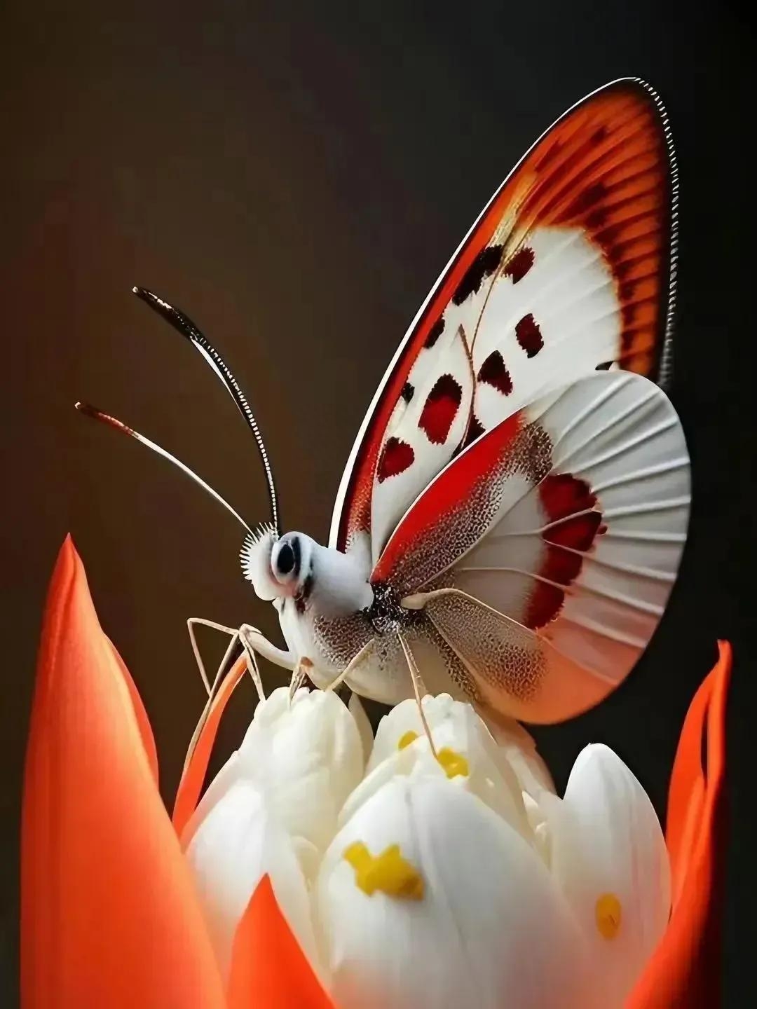 相信自己，加油，励志简短的正能量签名精选(图5)