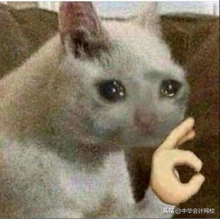 我哭了，你呢？这些名言谚语居然说的居然是会计……(图1)