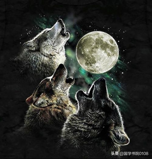 狼的格言50条，每一条你都会受用一生(图1)