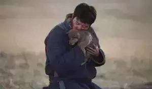 《狼图腾》中狼的50句经典格言(图7)