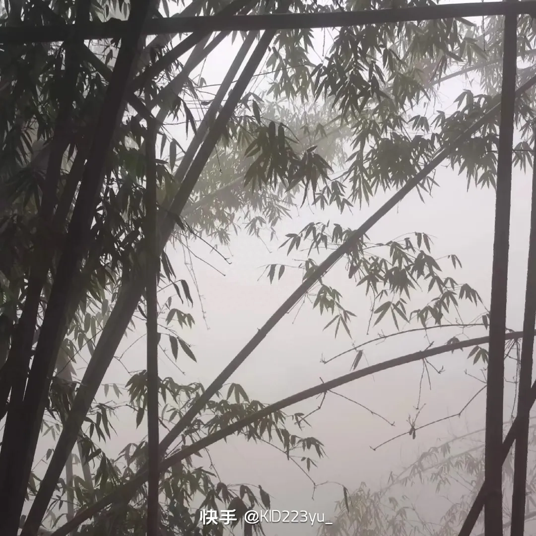 学会设定目标，并为实现这些目标付出努力(图1)