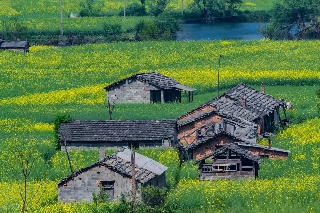 农民感叹：已经不是过去的农村了！(图1)