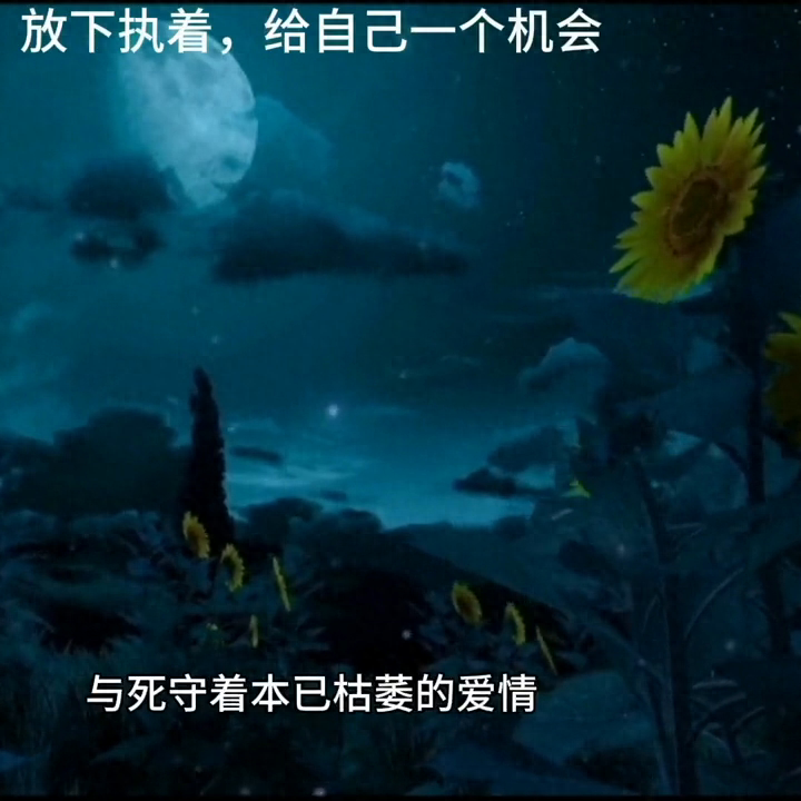 诚然，放下曾经的爱，放下相爱的岁月(图4)