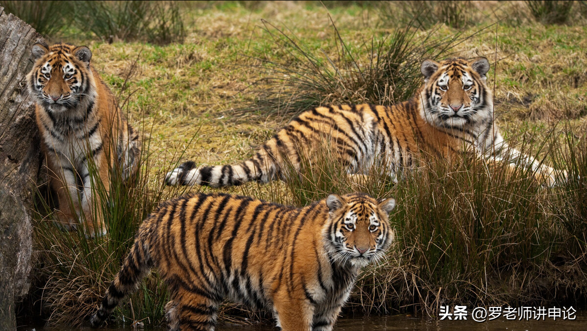 名言金句|空谈误国 实干兴邦(图1)