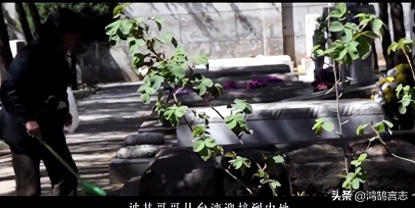 致敬巾帼英雄(图3)