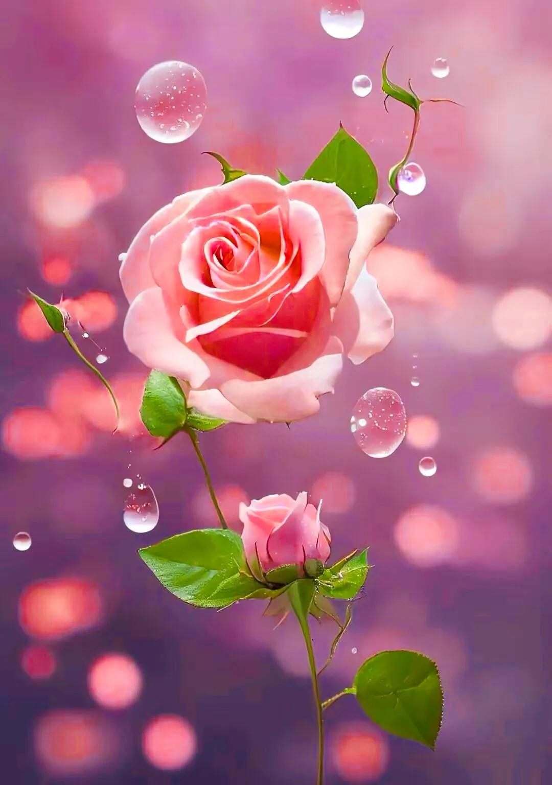 眼里有星辰大海，心中有阳光温暖，脚下有从容淡定(图1)