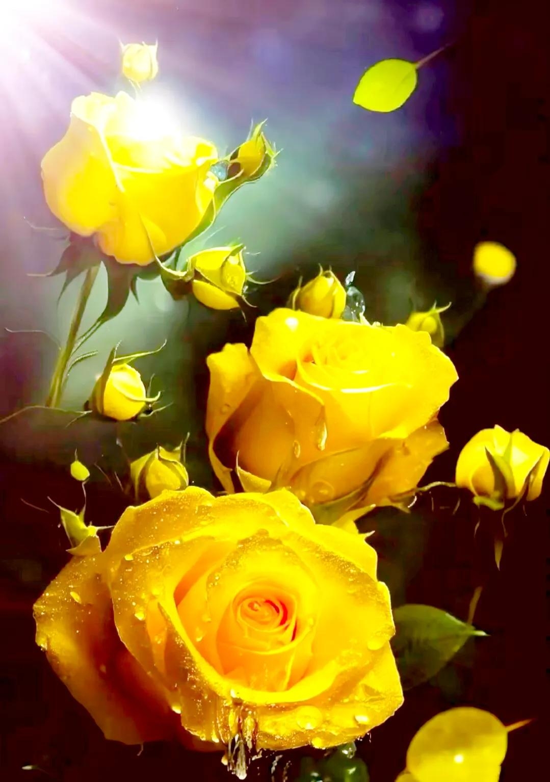 眼里有星辰大海，心中有阳光温暖，脚下有从容淡定(图4)