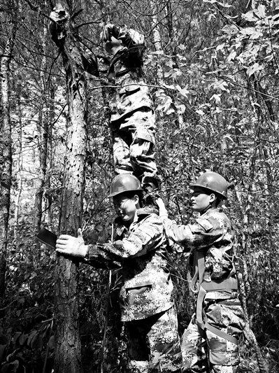 远方有海头顶有星，心中有“星辰大海”(图3)