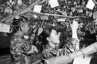 远方有海头顶有星，心中有“星辰大海”(图4)