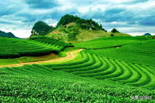 诗和远方，始于人间烟火(图1)