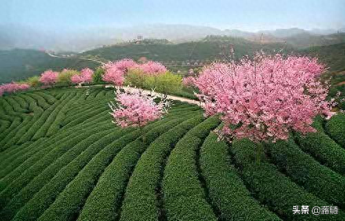 诗和远方，始于人间烟火(图2)