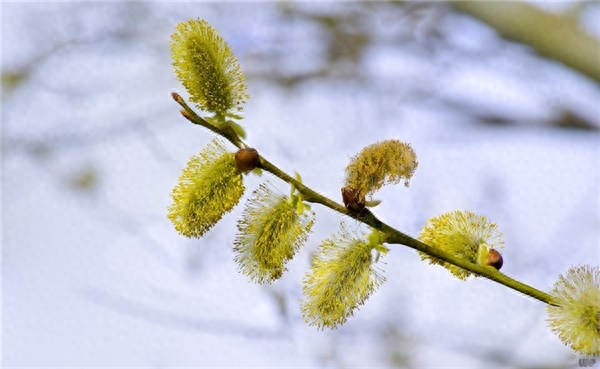 微信很火的心情短语，句句舒心(图4)