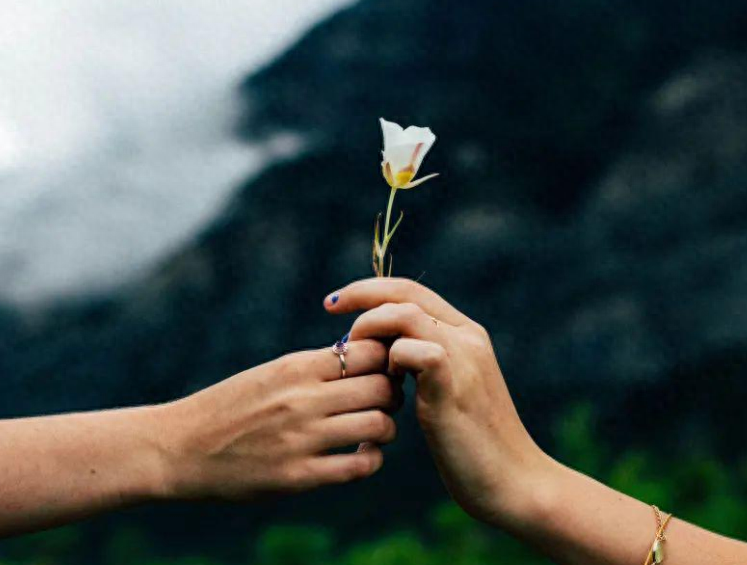 东野圭吾《恶意》：你的善良必须带着锋芒，否则就等于0(图2)