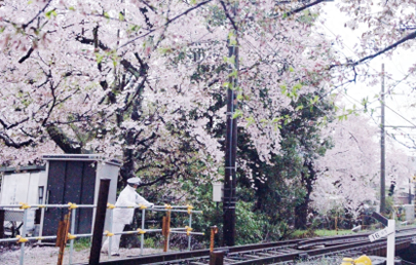 东野圭吾《恶意》：你的善良必须带着锋芒，否则就等于0(图4)