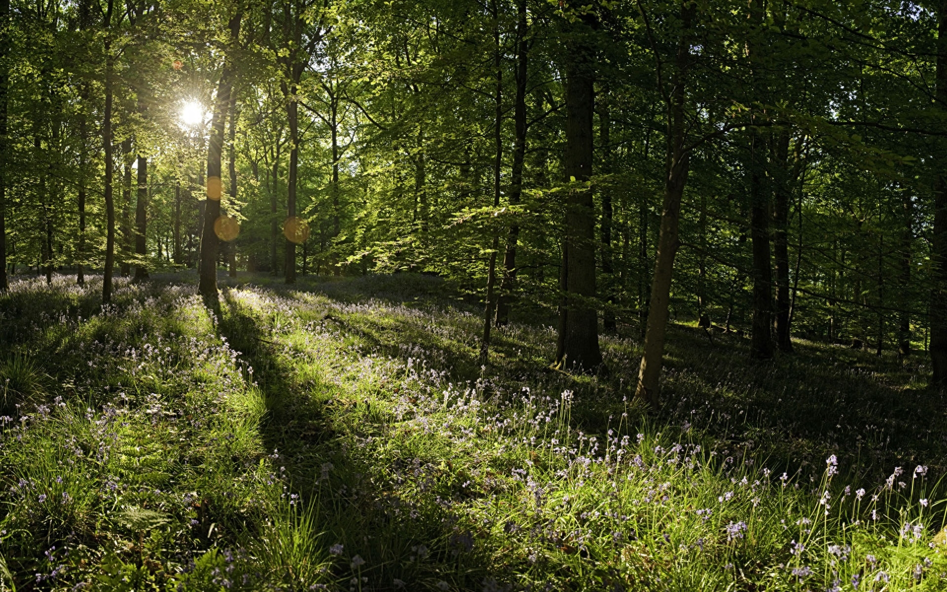 卸载了王者荣耀,一定要用生活格言压压惊(图4) 卸载了王者荣耀,一定要用生活格言压压惊(图4)