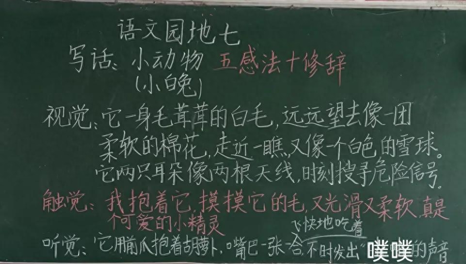 二年级语文下七单元写小动物，用五感法加修辞，分分钟写满200字(图1)