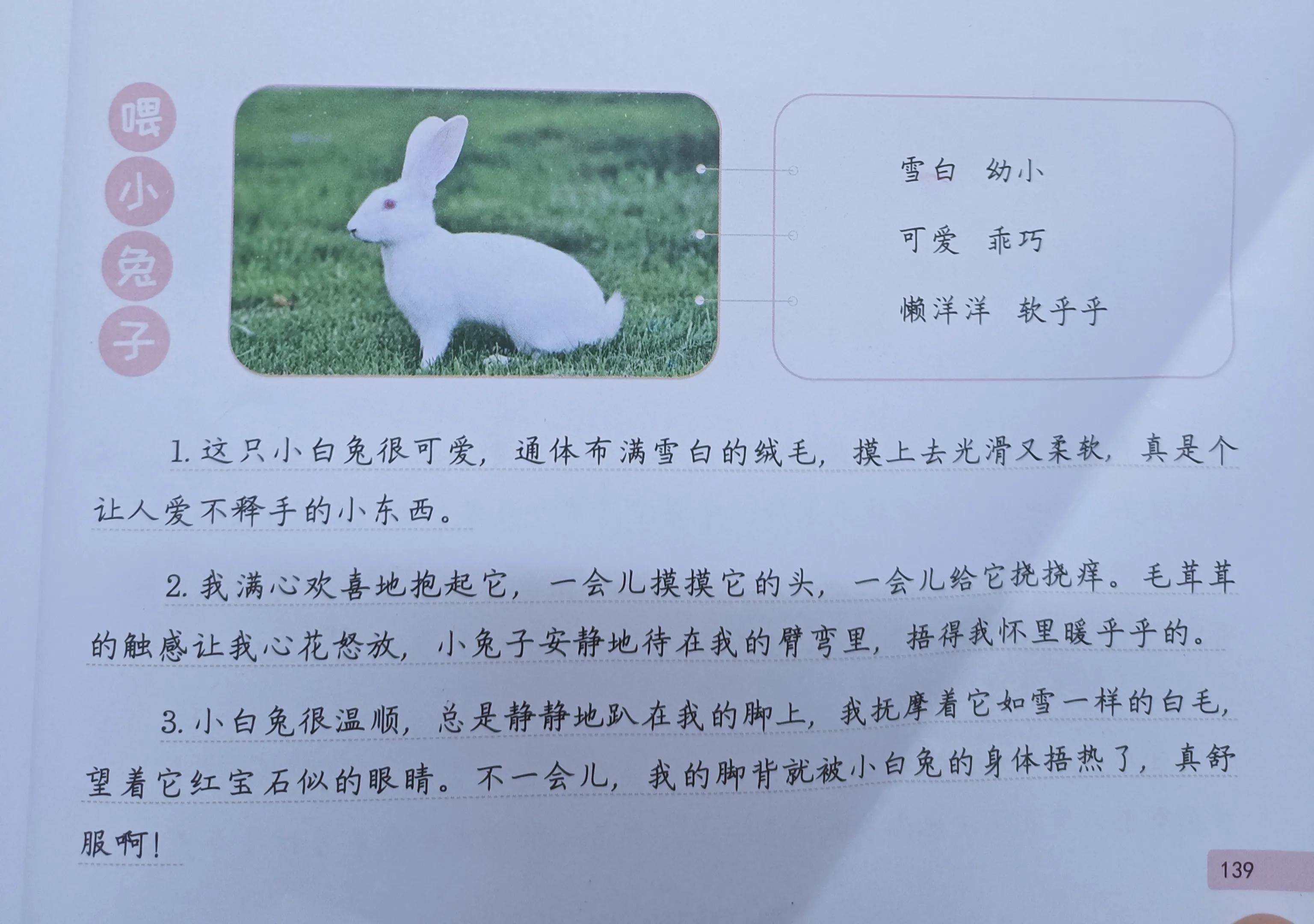 二年级语文下七单元写小动物，用五感法加修辞，分分钟写满200字(图2)