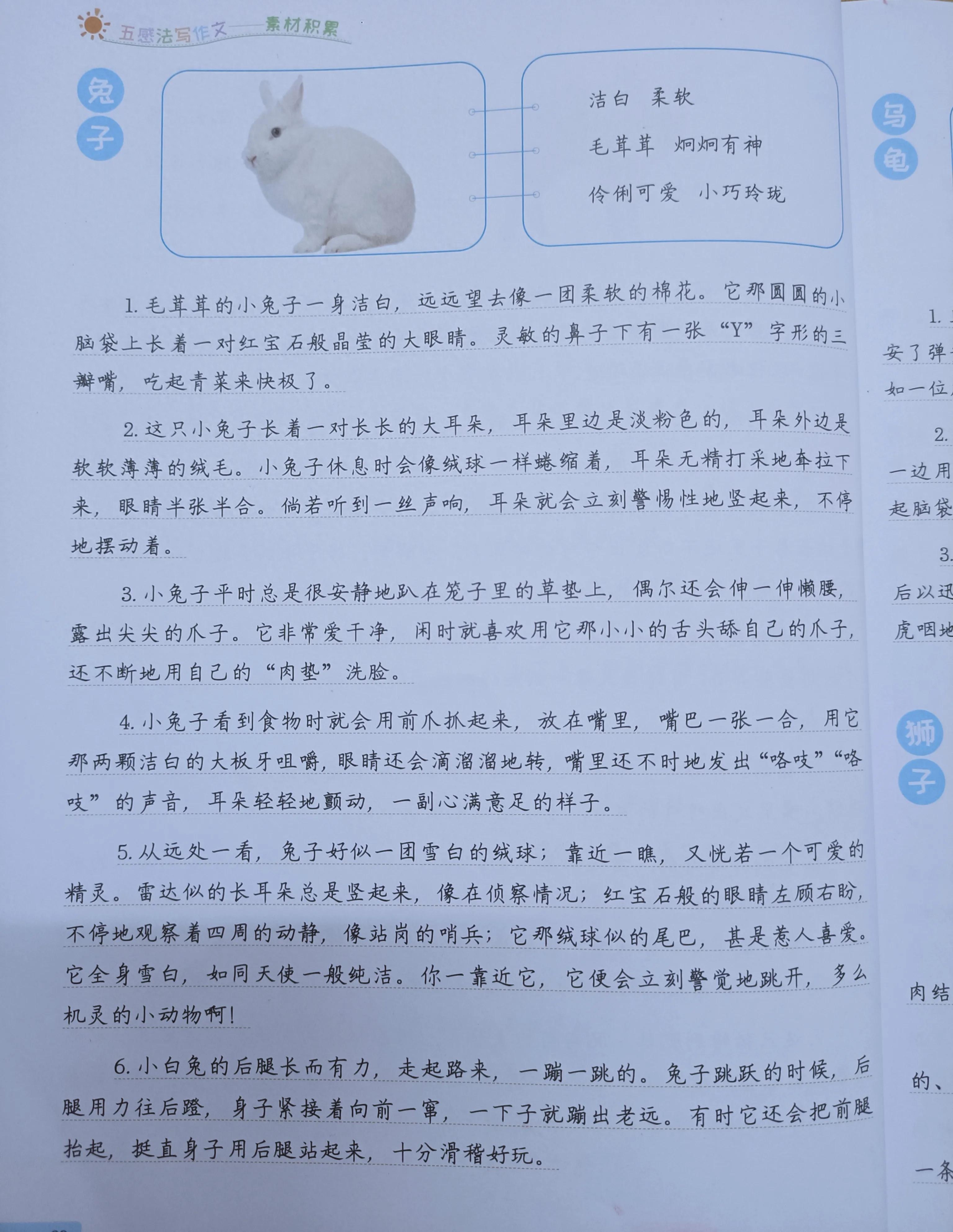 二年级语文下七单元写小动物，用五感法加修辞，分分钟写满200字(图3)