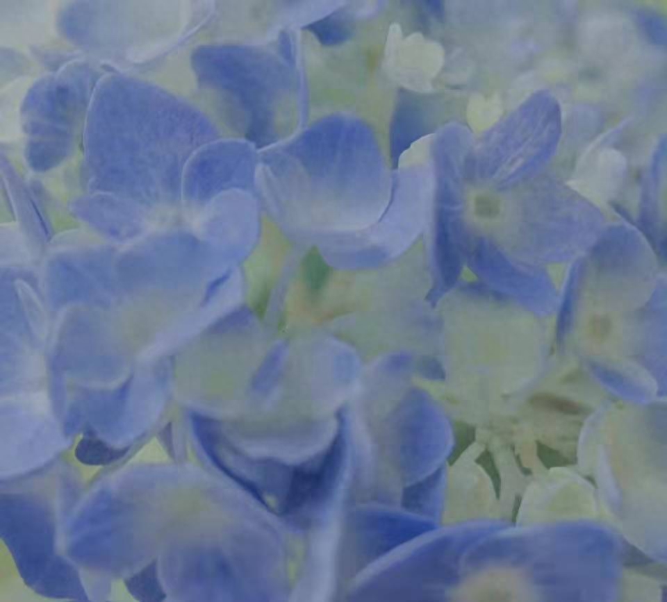 很难不爱的小众个签文案(图2)