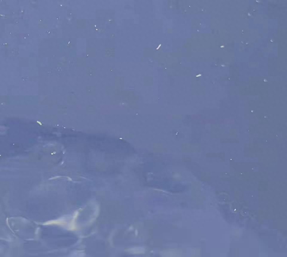 很难不爱的小众个签文案(图5)