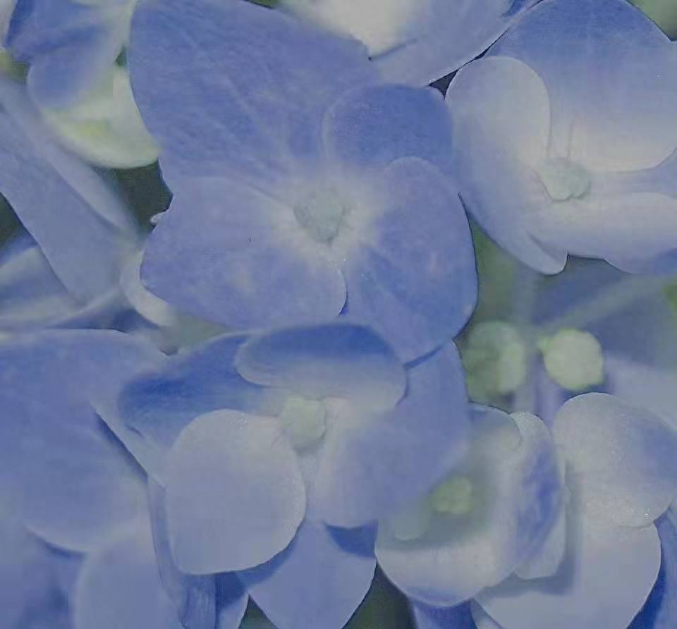 很难不爱的小众个签文案(图7)