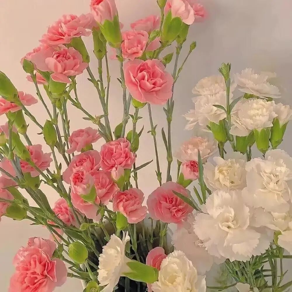 个签 | “浪漫而不烂俗的简短个签文案”(图2)