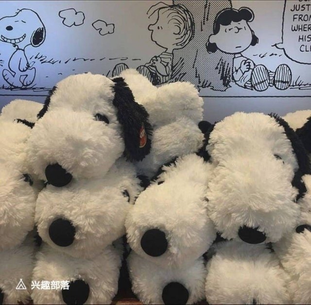 无关爱情的最美个签(图1)