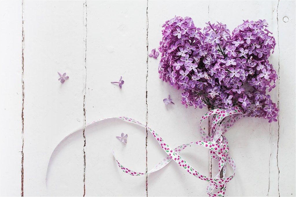 优美文案100句【七】幸运(图1)