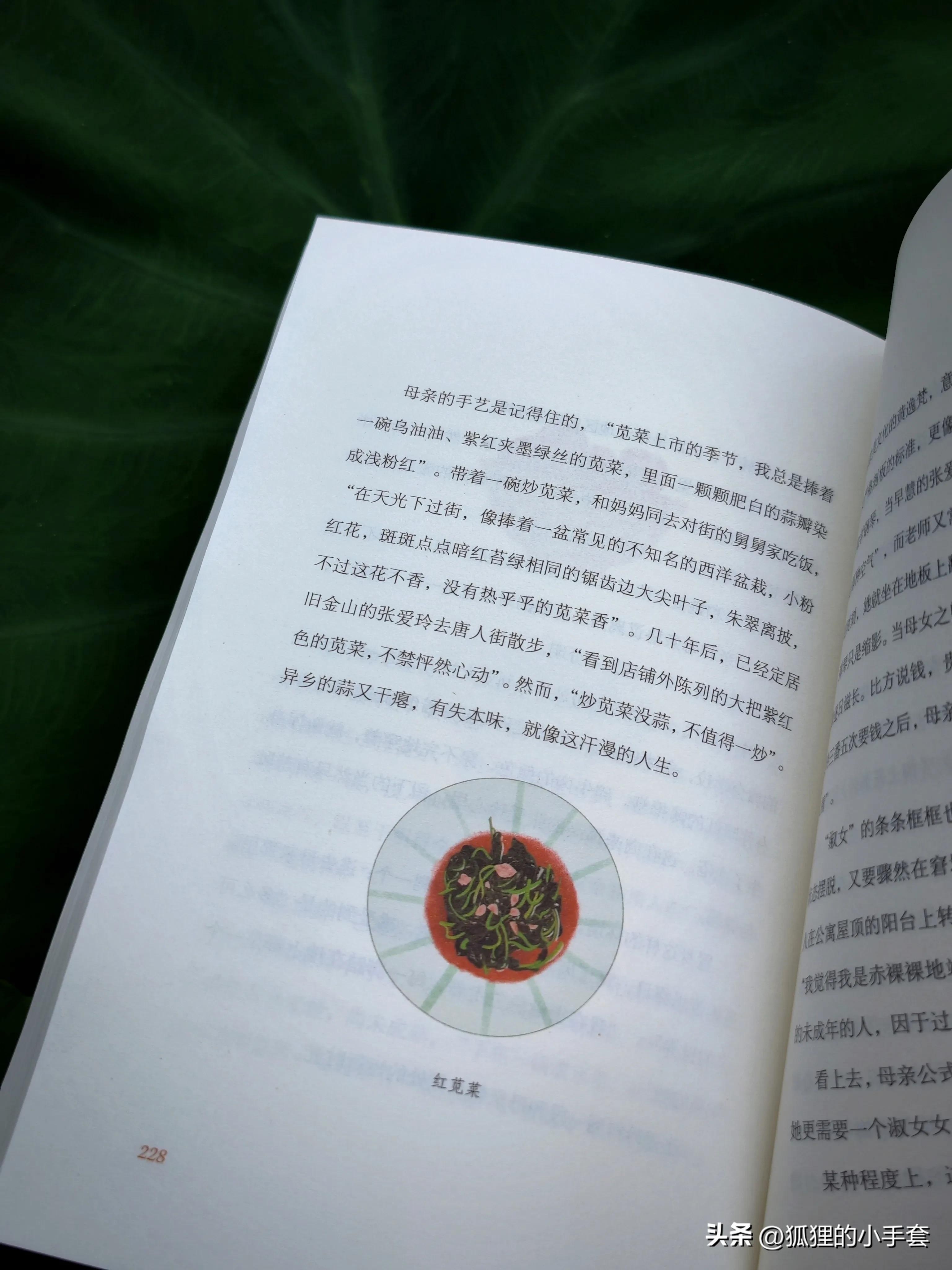 一口好味，是这苍凉人间的温暖底色(图14)