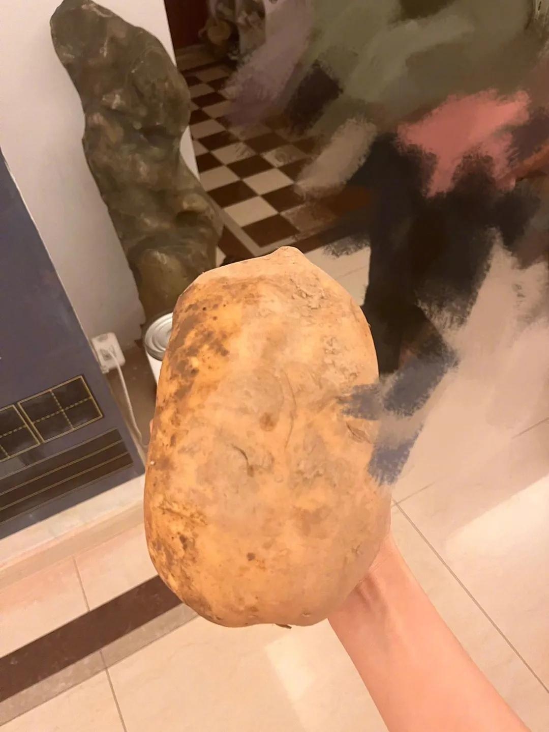 “去病”终于被网友喊来了，盘点疫情下那些“苦中作乐”的瞬间(图16)