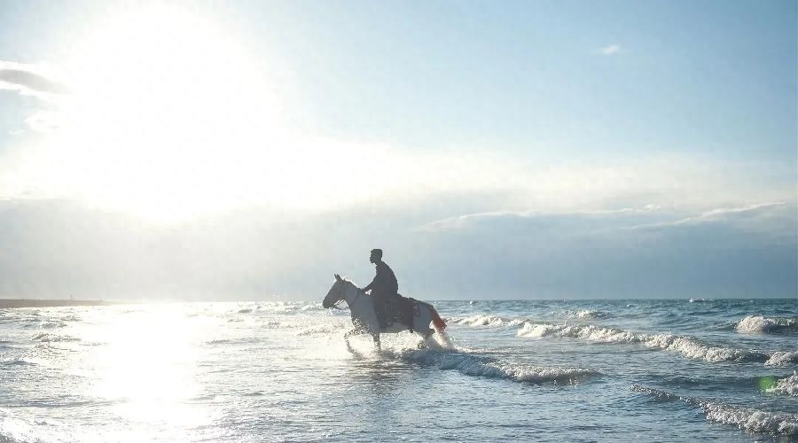 夜读丨一辈子很短，要么有趣，要么老去(图5)