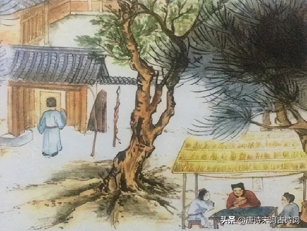簌簌衣巾落枣花，那些诗词中的枣树(图5)