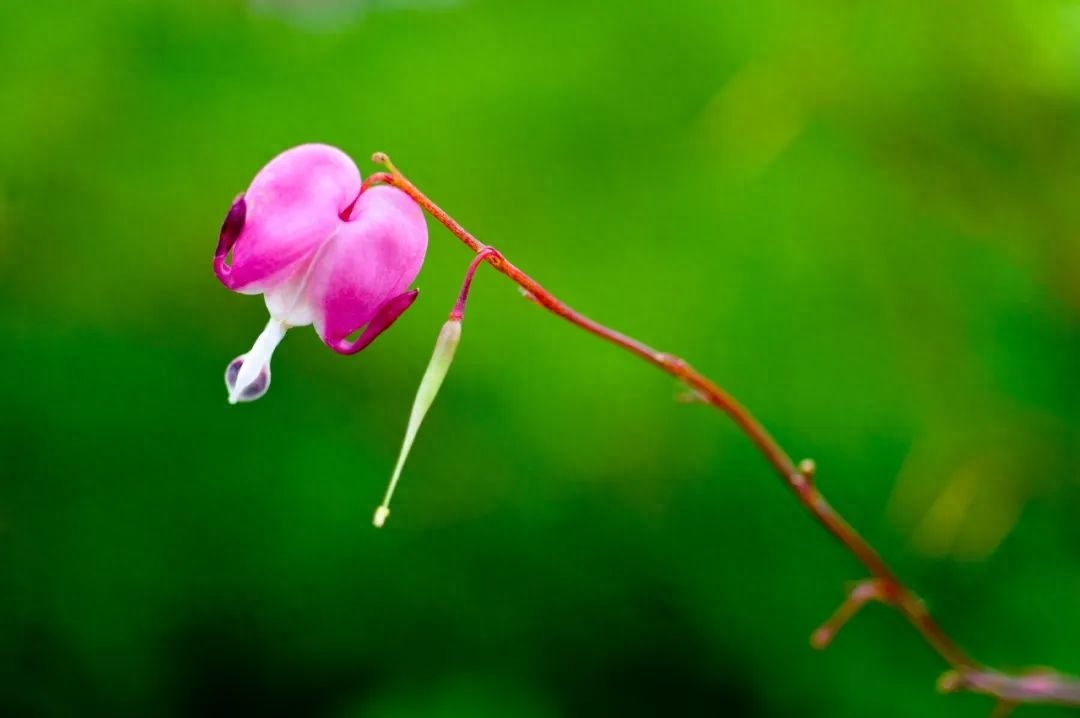 余生，开心过好每一天(图1)