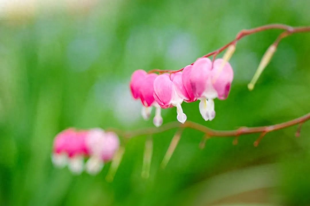余生，开心过好每一天(图2)