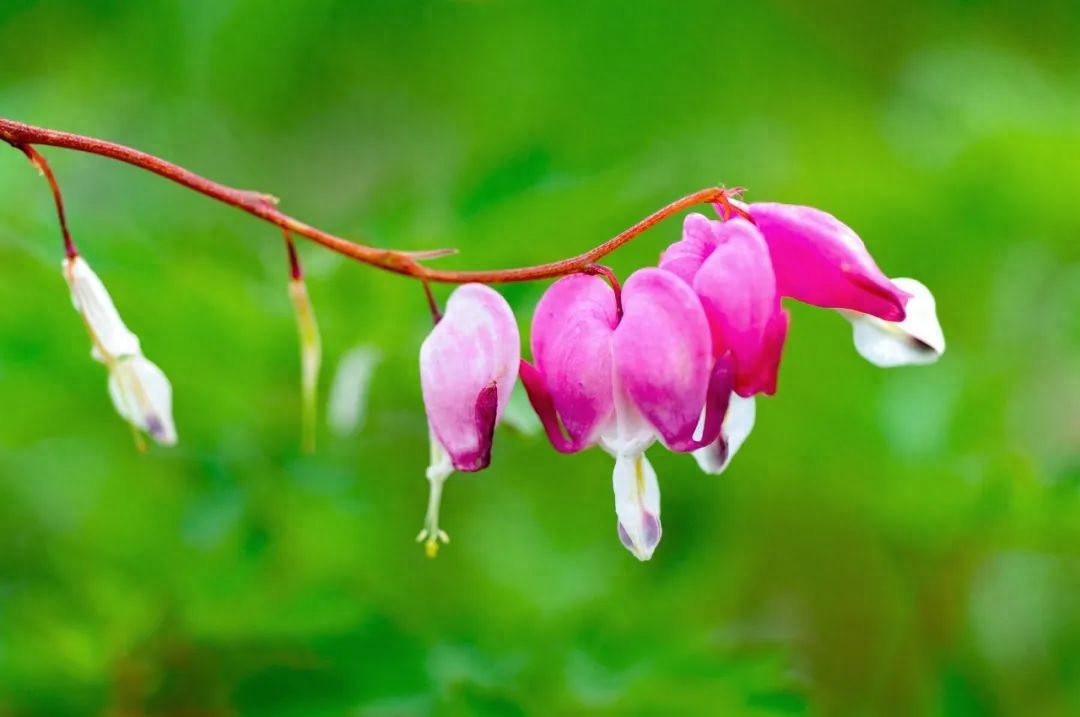 余生，开心过好每一天(图3)