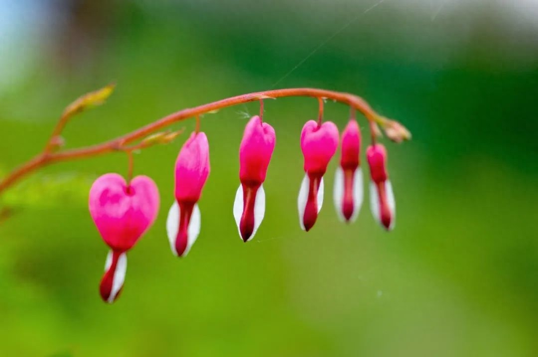 余生，开心过好每一天(图4)