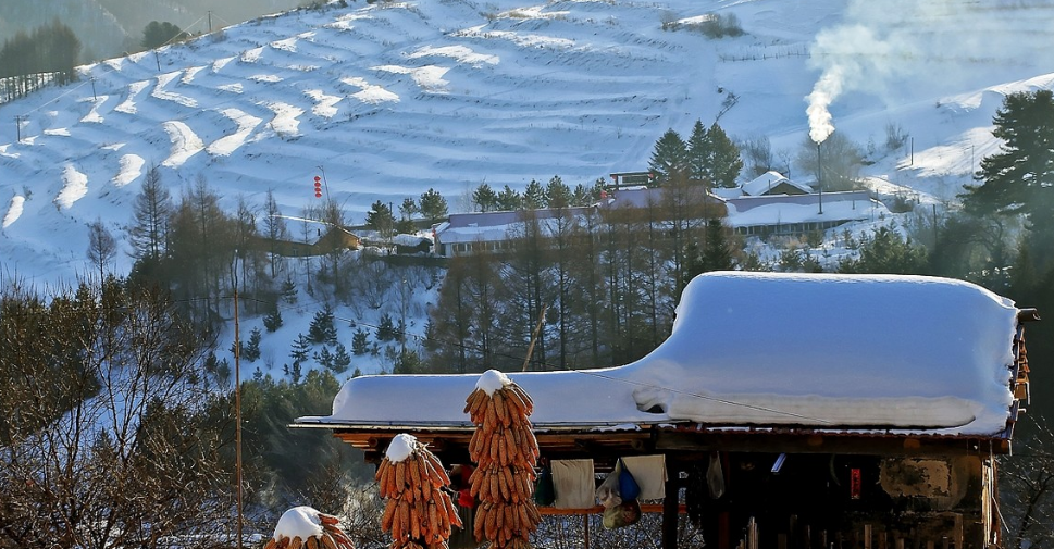 人在异乡，总怀念故乡的味道，十首思乡的诗词，写尽对家乡的思念(图12)