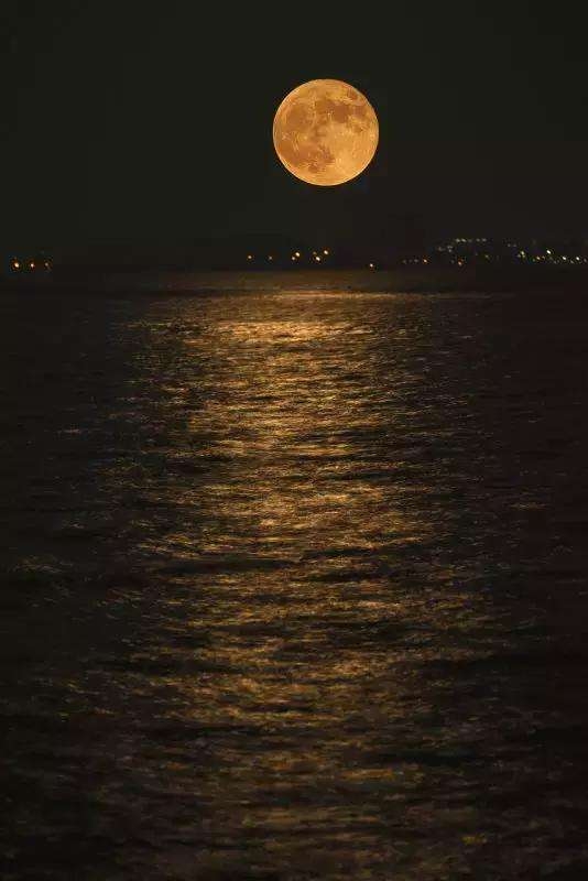 50首思乡古诗，值得收藏(图3)