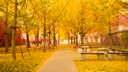 20首诗词，表白祖国！(图1)