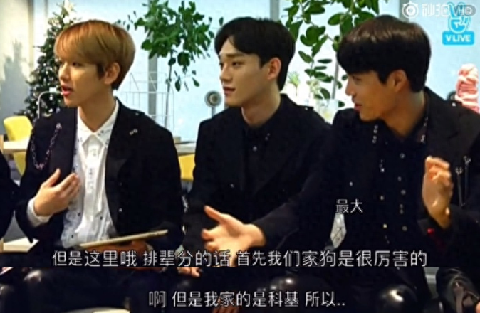 边伯贤“贤言贤语”赏析，只有喝草莓牛奶的伯贤，才会说出这种话(图4)