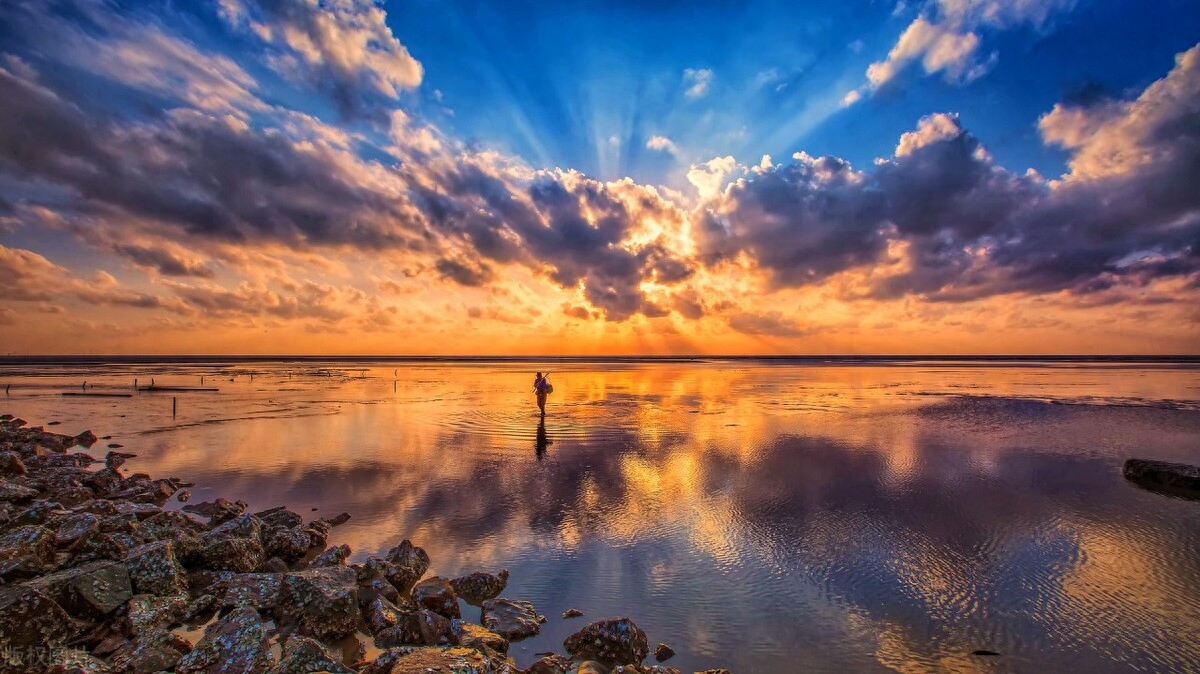 情感书单爆款文案（珍惜彼此感情的文案）(图2)