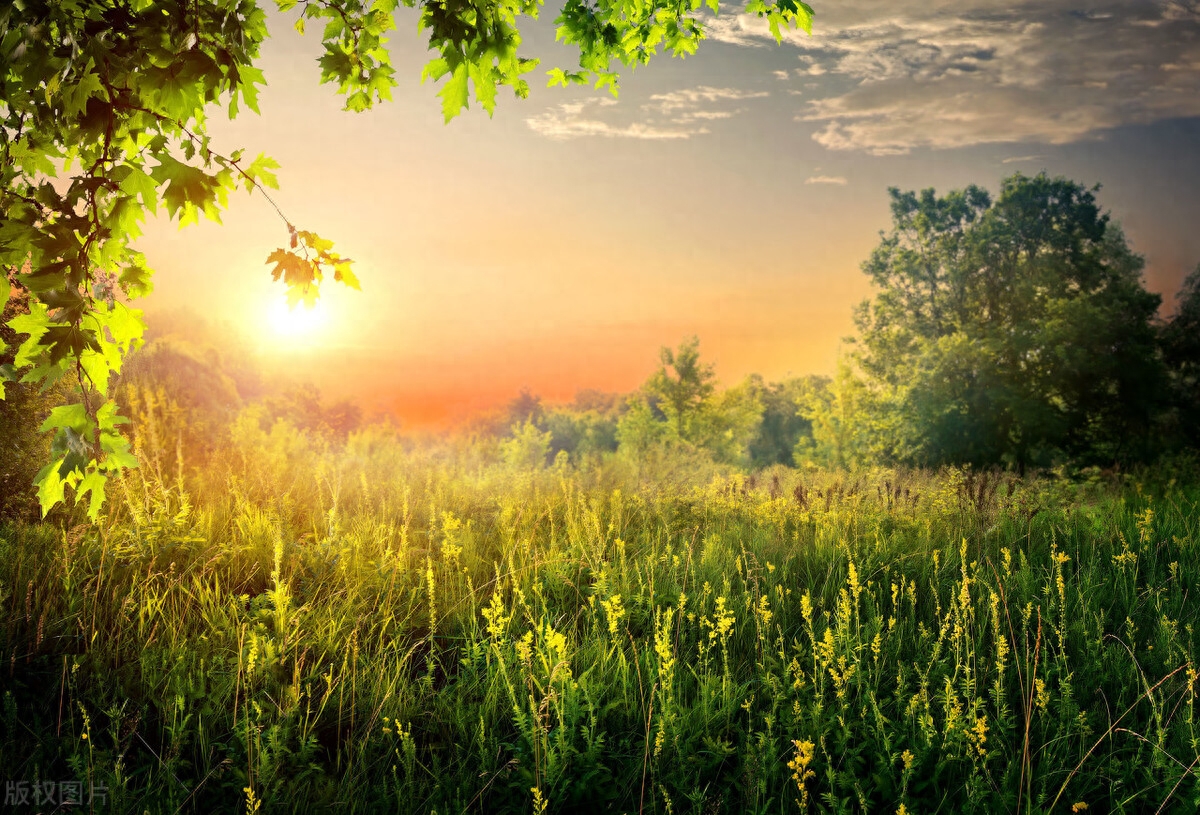 情感书单爆款文案（珍惜彼此感情的文案）(图3)