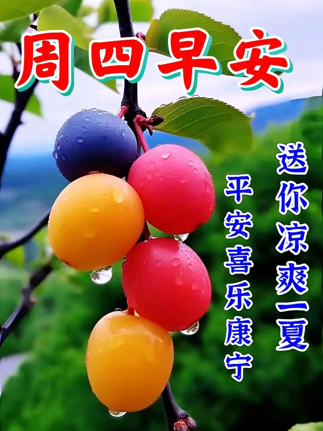 早安寄语｜清晨，是希望、是梦想的开始(图1)