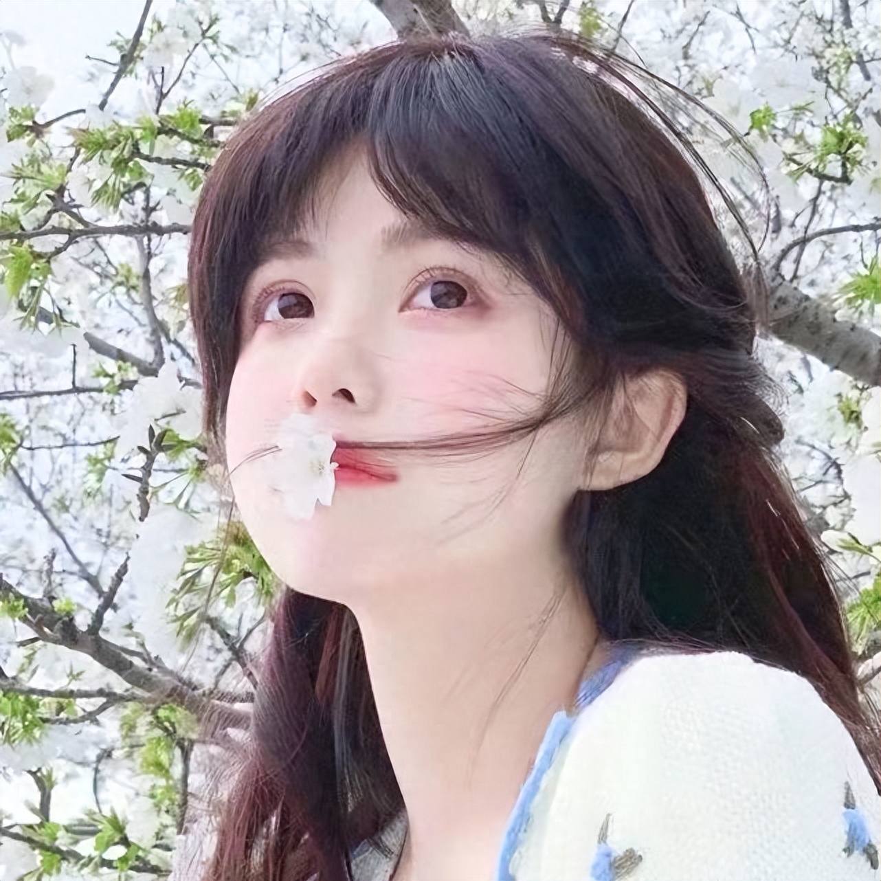 一些三观超正的小众温柔高级感句子(图5)