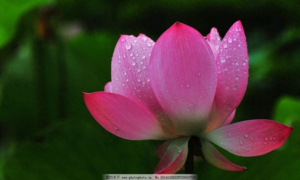 老人留下来勤俭持家的100句俗语，好好看看！（建议收藏）(图1)